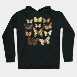 Museum Butterflies Hoodie